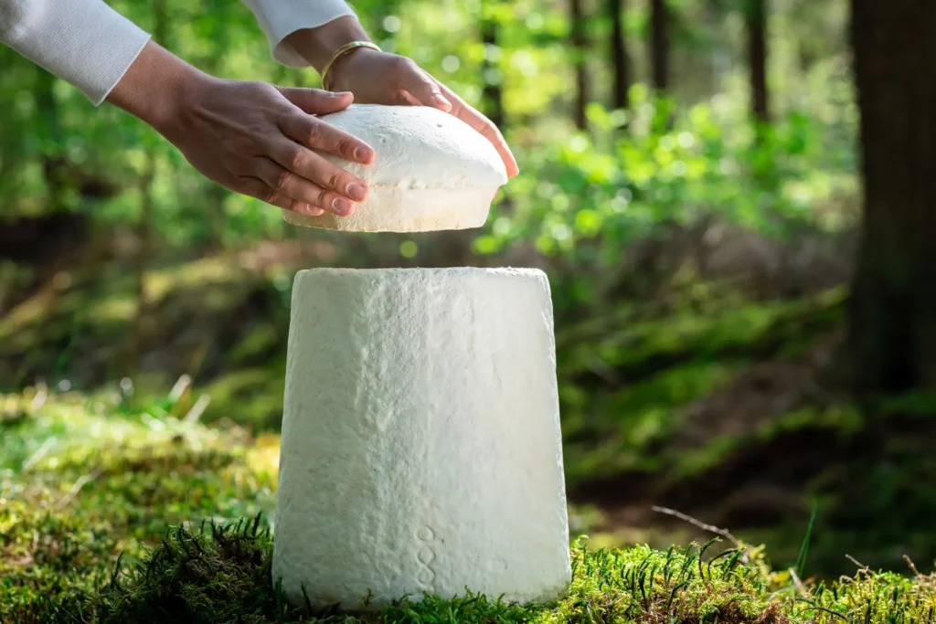 4. Loop EarthRise™ - ©Loop Biotech