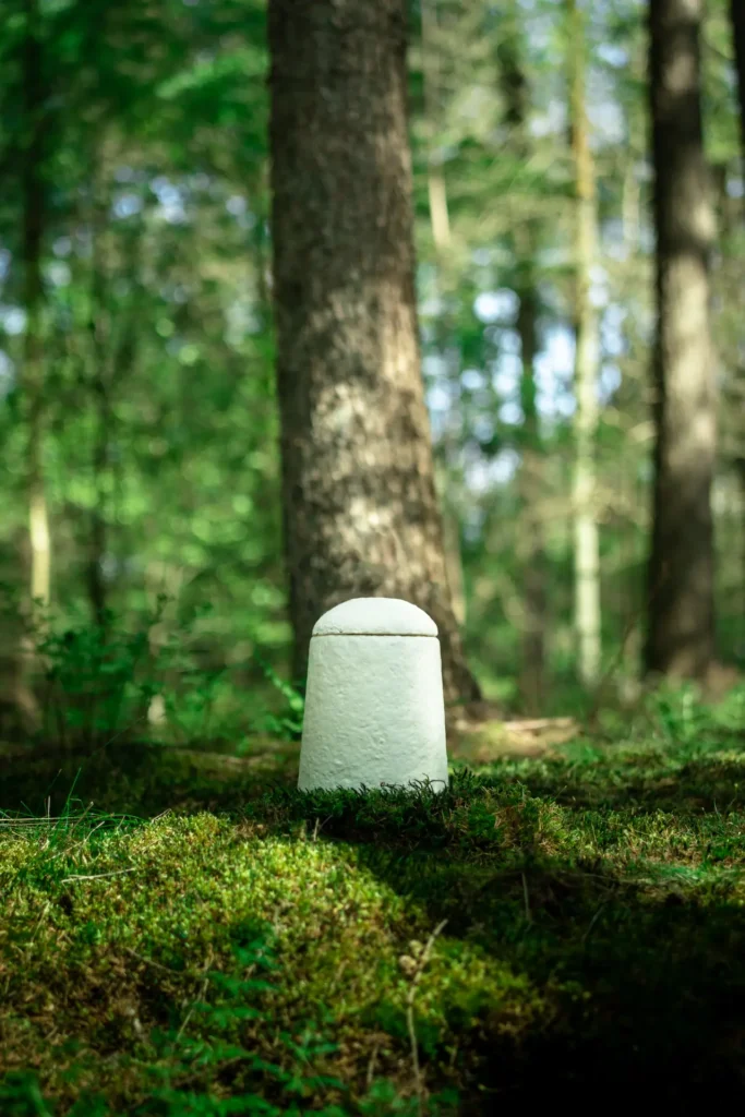 6. Loop EarthRise™ - edit 2