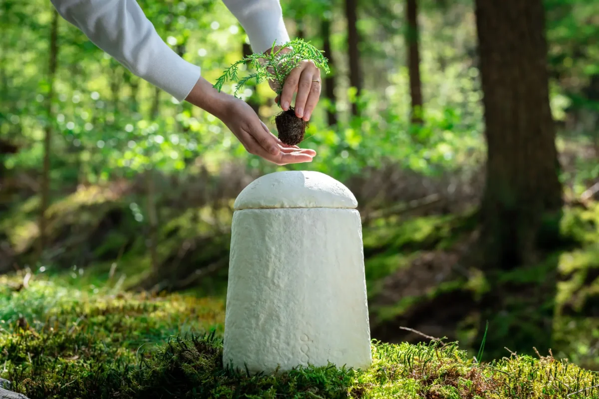 8. Loop EarthRise™ - ©Loop Biotech